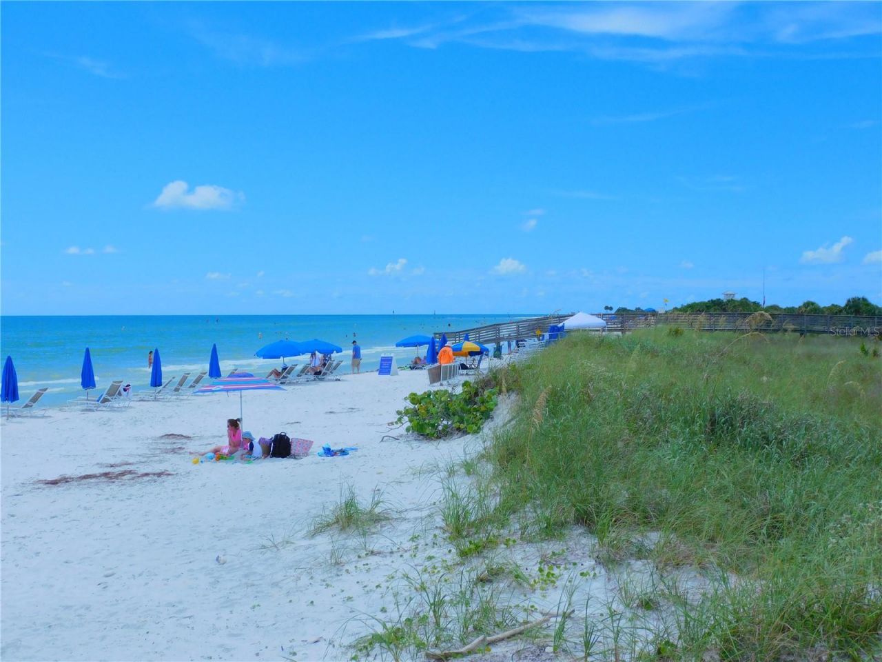 7 Elgin Place , Unit 508, Dunedin, FL 34698 Photo