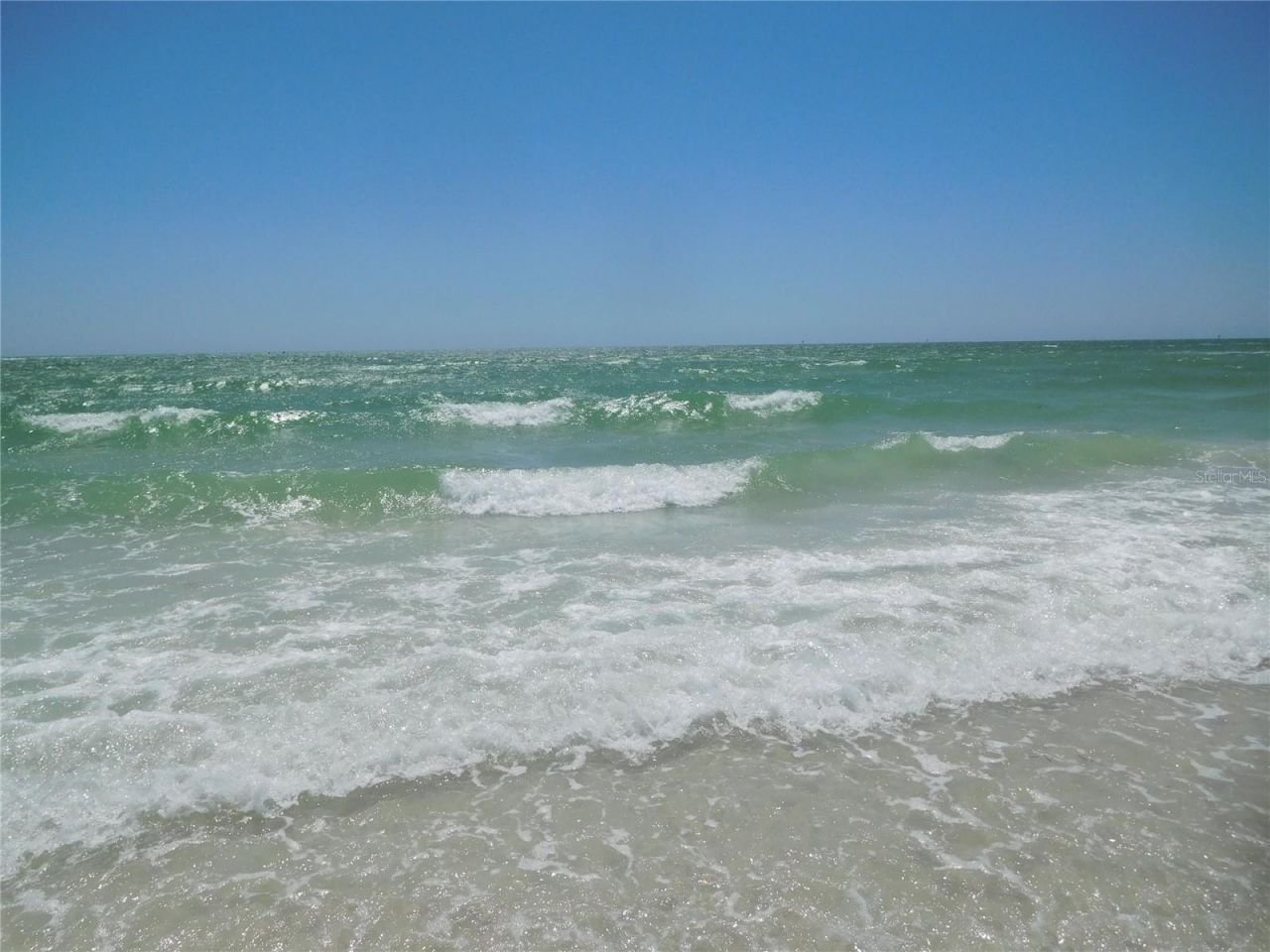 7 Elgin Place , Unit 508, Dunedin, FL 34698 Photo