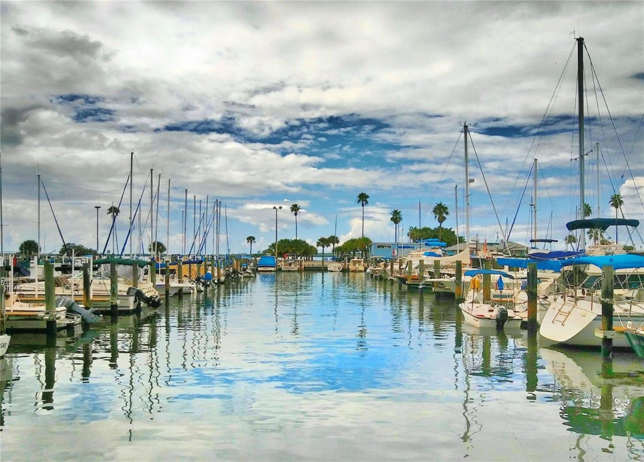 7 Elgin Place , Unit 508, Dunedin, FL 34698 Photo