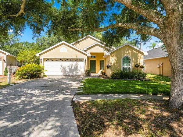 4532 WILD PLUM LANE , LUTZ, FL 33558