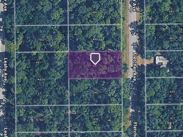 442 FLETCHER AVENUE , LAKE PLACID, FL 33852