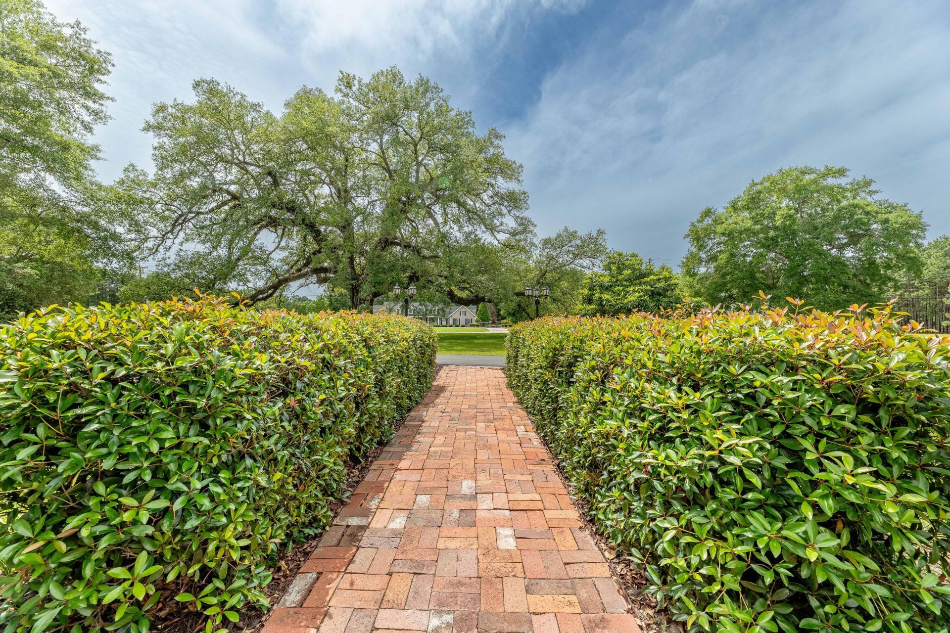 2729 Camden Road Photo 7