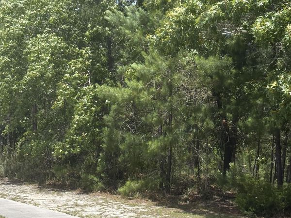 3005 Arundel Hill SW, Shallotte, NC 28470