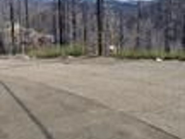 5406 Wooded Glen Drive, Grizzly Flats, CA 95636