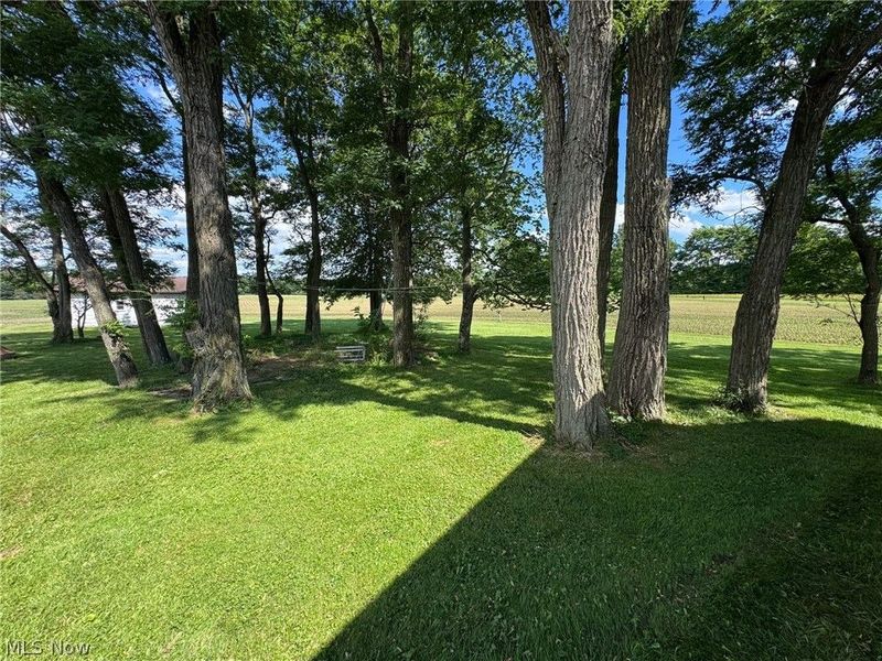 7305 S Duck Creek Road, Berlin Center, OH 44401 Photo 25