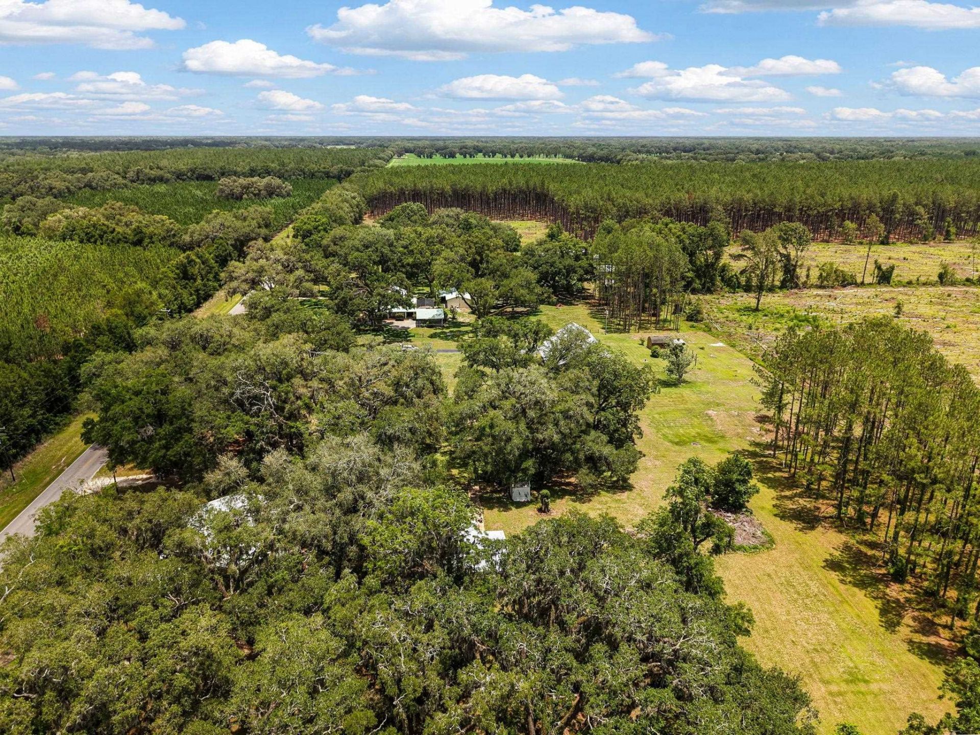 9659 SE Cr 319 , Trenton, FL 32693 Photo