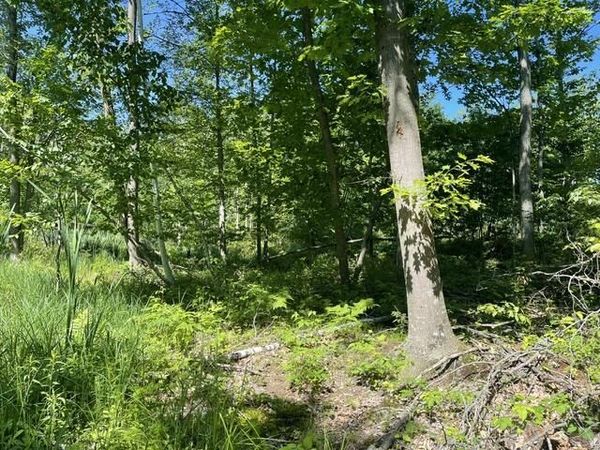 CTY SHAWANO LINE ROAD, Gillett, WI 54124