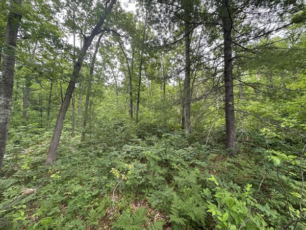 Skyline Road, Grayling, MI 49738