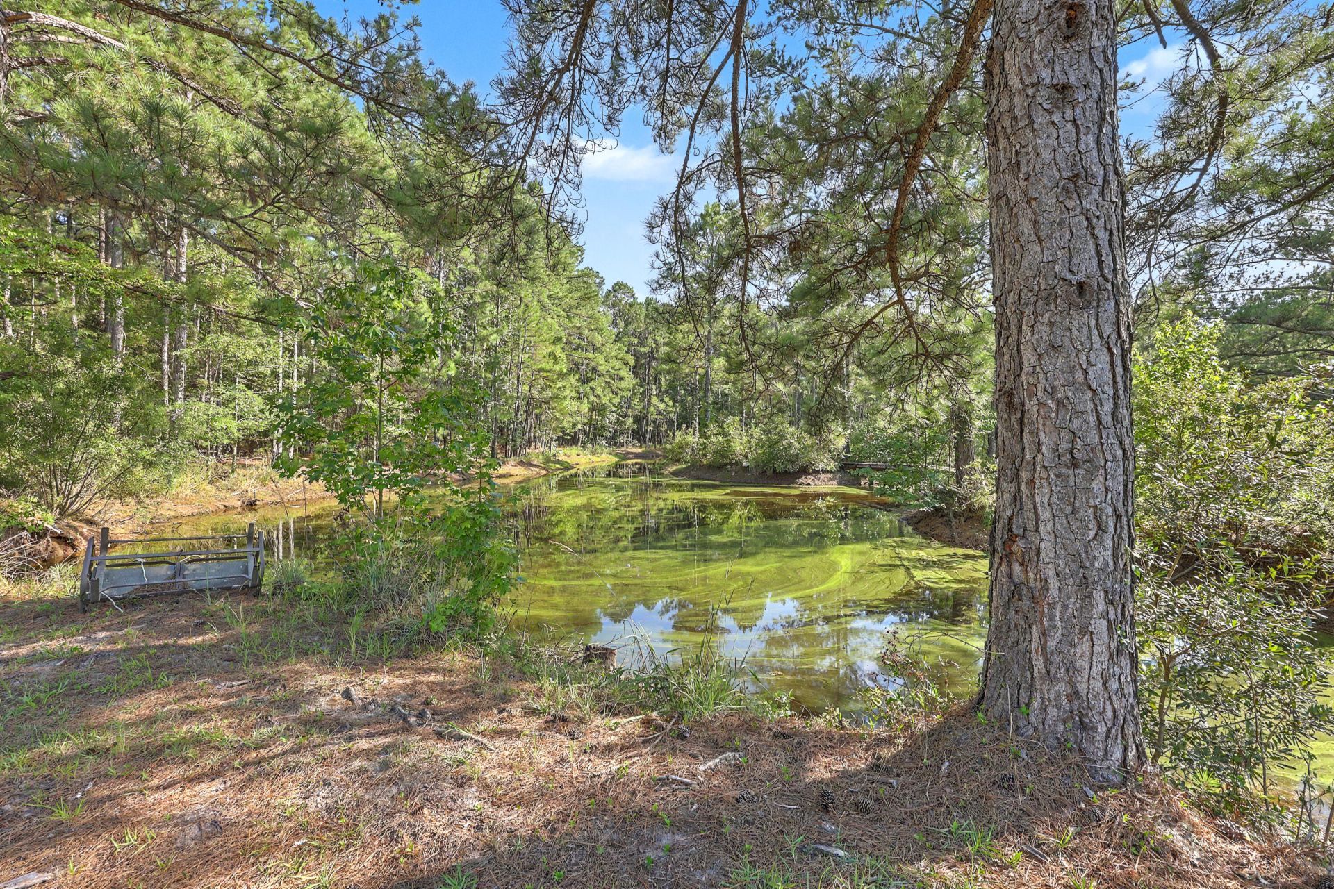 8450 Doar Road Photo 13