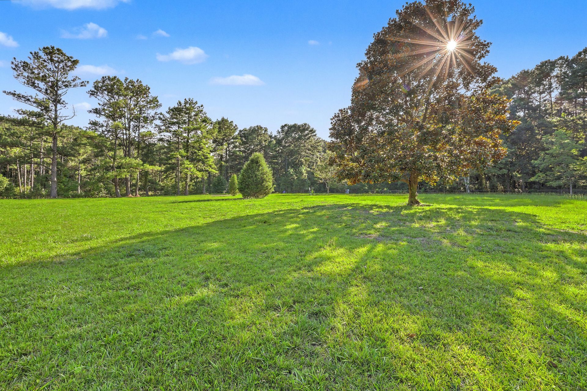 8450 Doar Road Photo 39