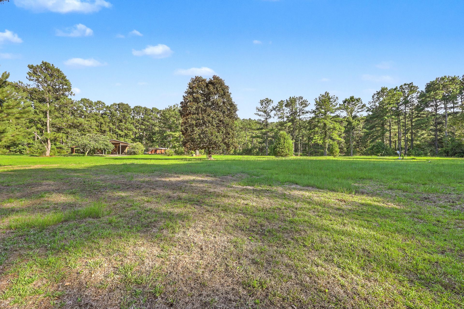 8450 Doar Road Photo 41
