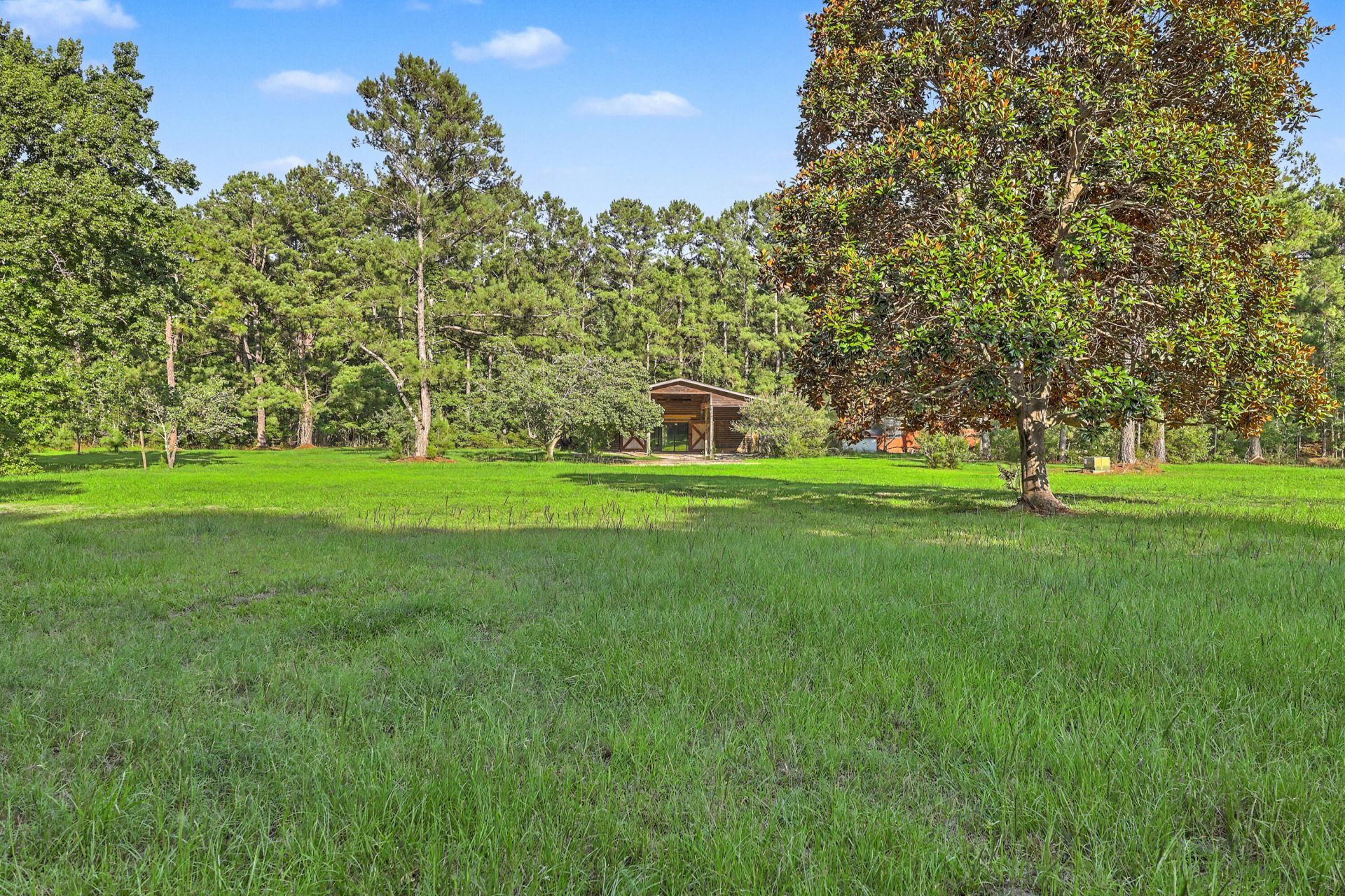 8450 Doar Road Photo 47