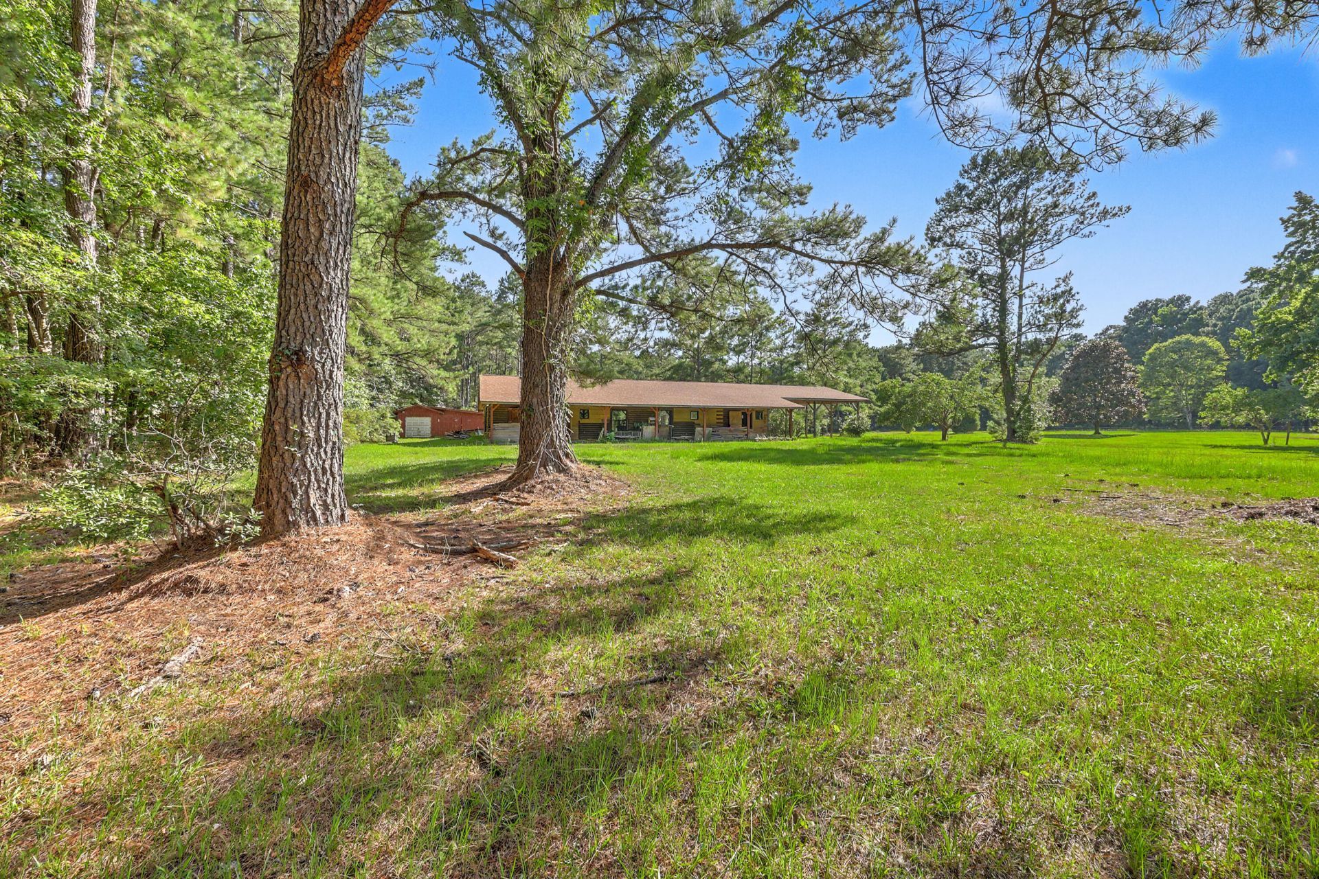 8450 Doar Road Photo 5