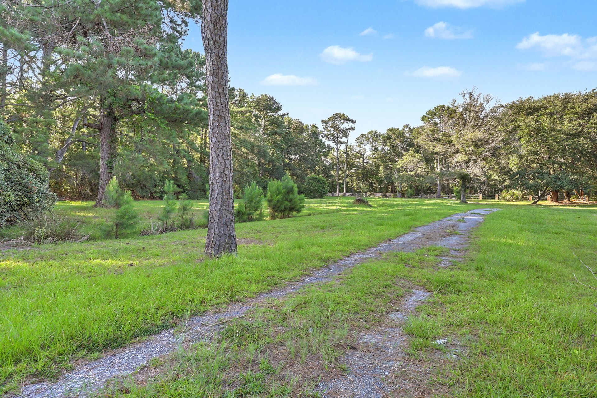 8450 Doar Road Photo 51