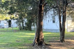 1860 Martin Smith Road  photo 4