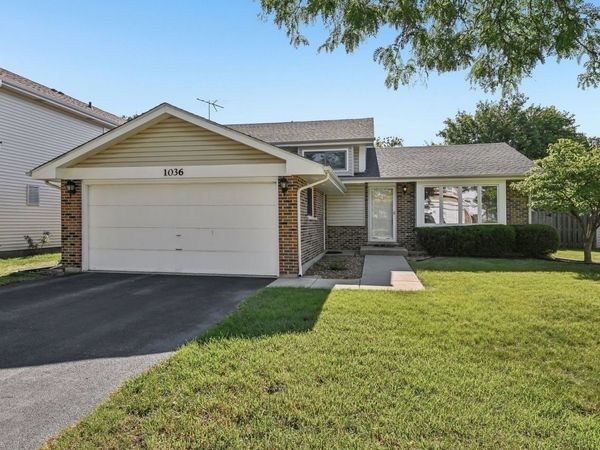 1036 E Meadow Lake Drive, Palatine, IL 60074