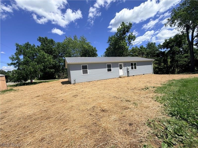 42450 Green Street, Belmont, OH 43718 Photo 2