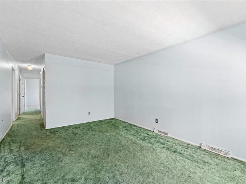 152 Kreiner Avenue, Akron, OH 44312 Photo 5