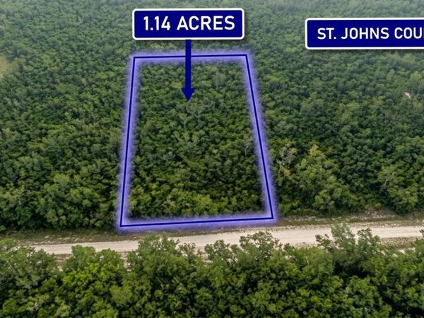 4770 BENEDICT STREET , HASTINGS, FL 32145