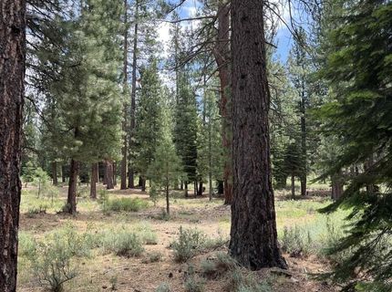 15411 Kent Drive, Truckee, CA 96161 Photo
