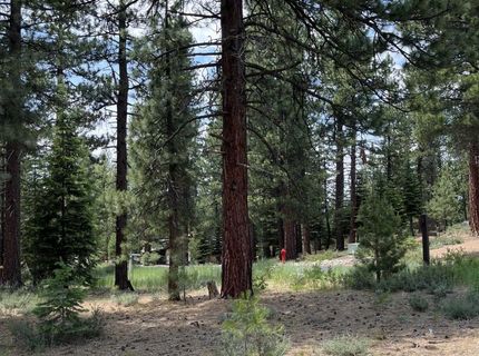 15411 Kent Drive, Truckee, CA 96161 Photo