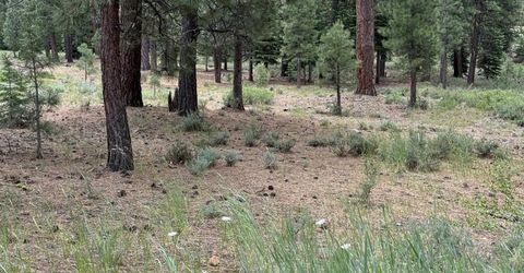 15411 Kent Drive, Truckee, CA 96161 Photo
