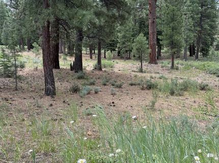 15411 Kent Drive, Truckee, CA 96161 Photo