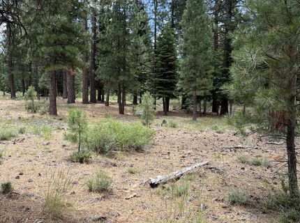 15411 Kent Drive, Truckee, CA 96161 Photo