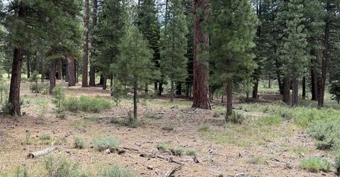 15411 Kent Drive, Truckee, CA 96161 Photo