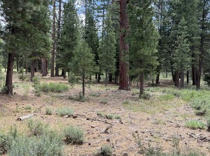 15411 Kent Drive, Truckee, CA 96161 Photo