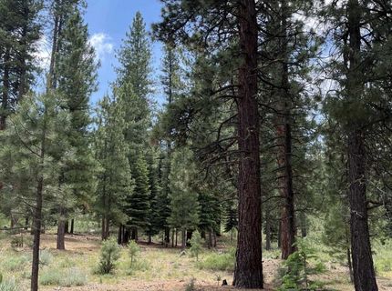 15411 Kent Drive, Truckee, CA 96161 Photo