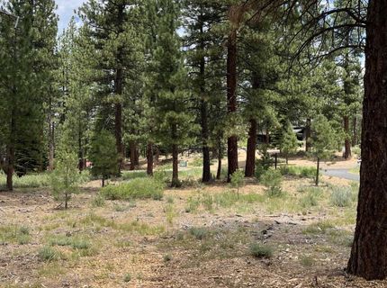 15411 Kent Drive, Truckee, CA 96161 Photo