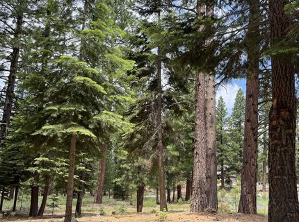 15411 Kent Drive, Truckee, CA 96161 Photo