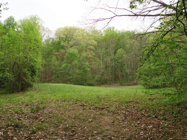 250 Mountain Side Lane, Rocky Top, TN 37769
