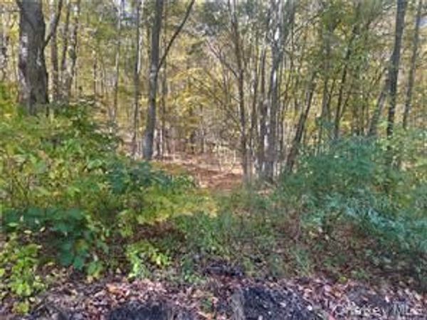 0 Budd Lane , Millerton, NY 12546
