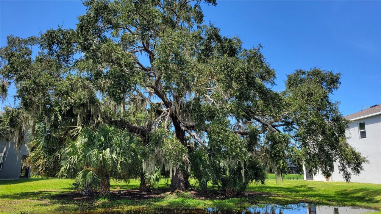 8545 Milestone Drive , Sarasota, FL 34238 Photo