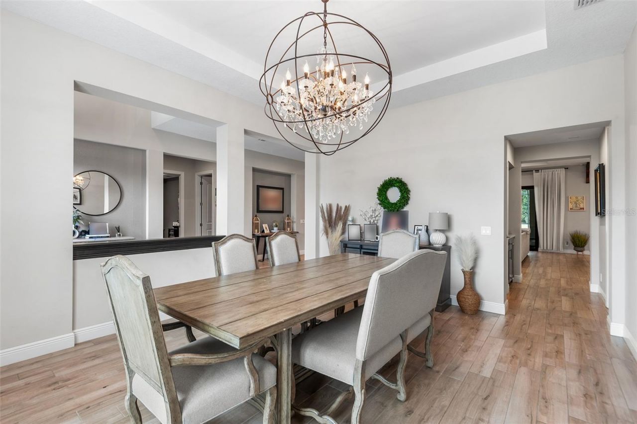 14704 Fishhawk Preserve Drive, Lithia, FL 33547 Photo
