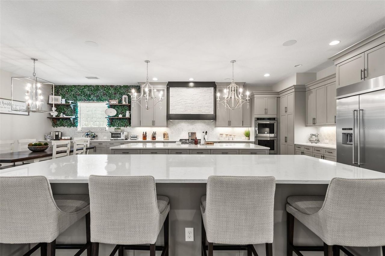 14704 Fishhawk Preserve Drive, Lithia, FL 33547 Photo