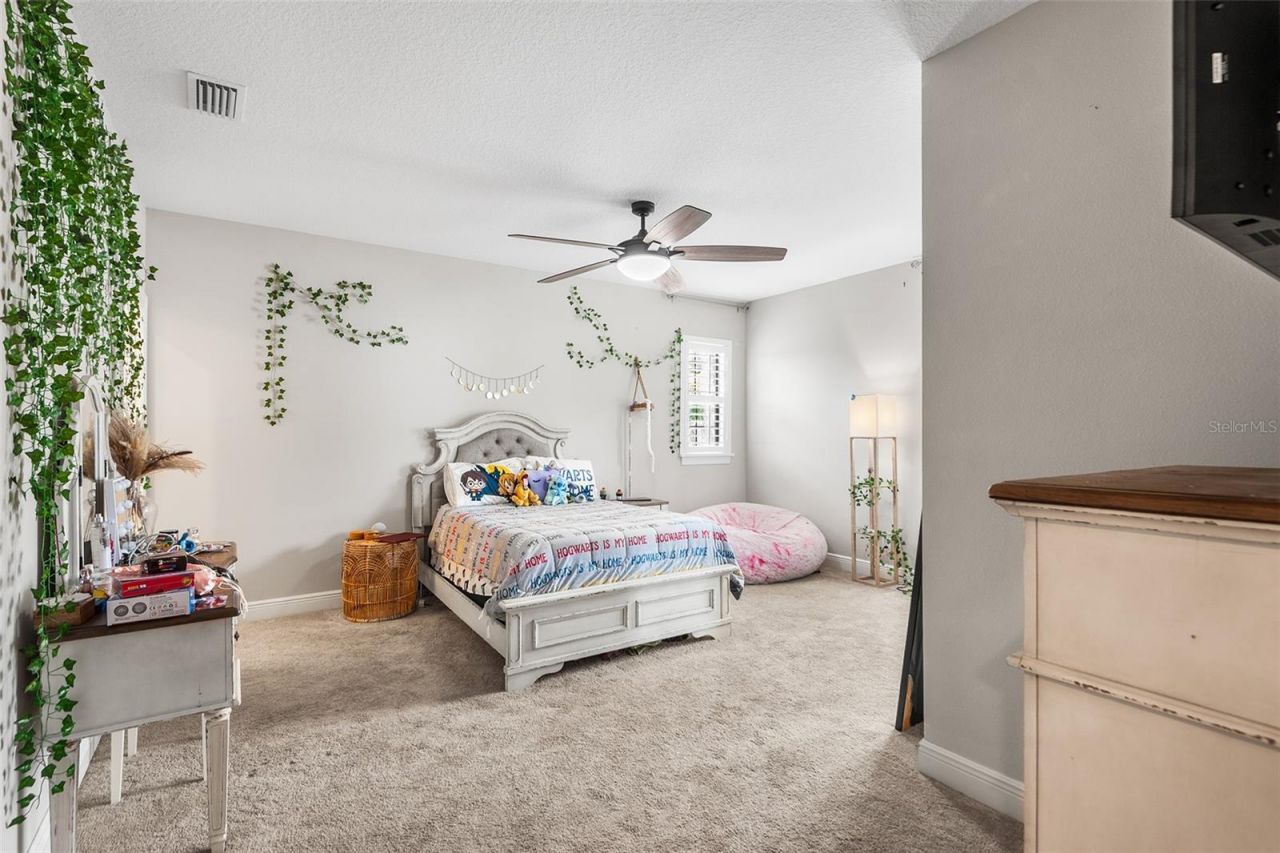 14704 Fishhawk Preserve Drive, Lithia, FL 33547 Photo
