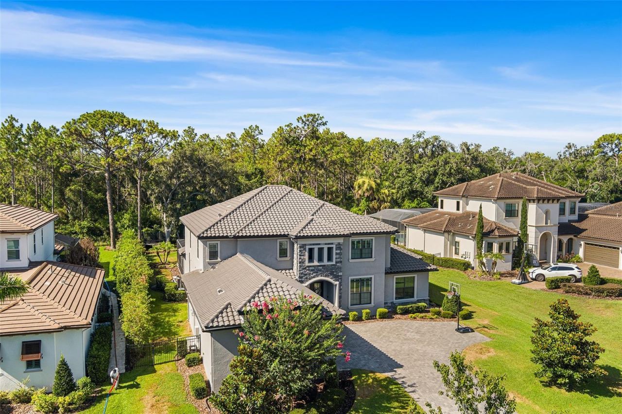 14704 Fishhawk Preserve Drive, Lithia, FL 33547 Photo