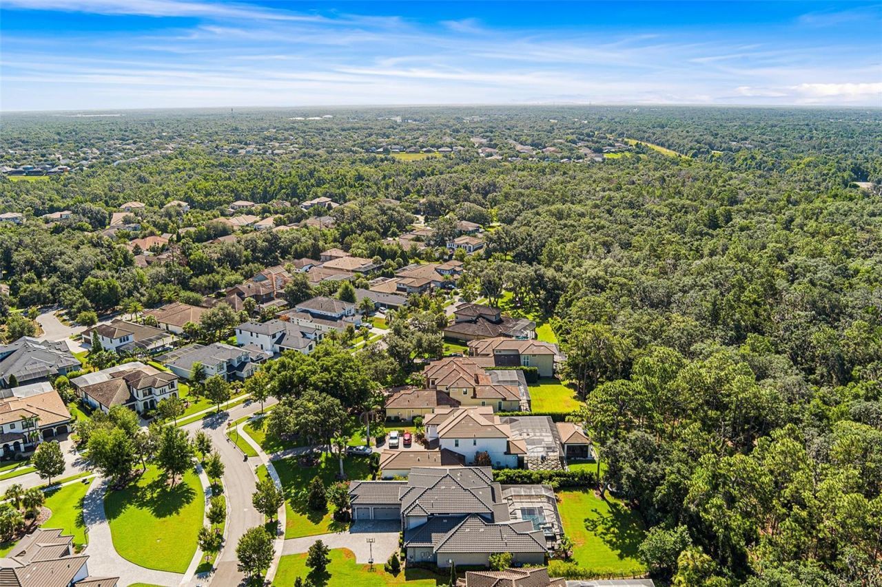 14704 Fishhawk Preserve Drive, Lithia, FL 33547 Photo