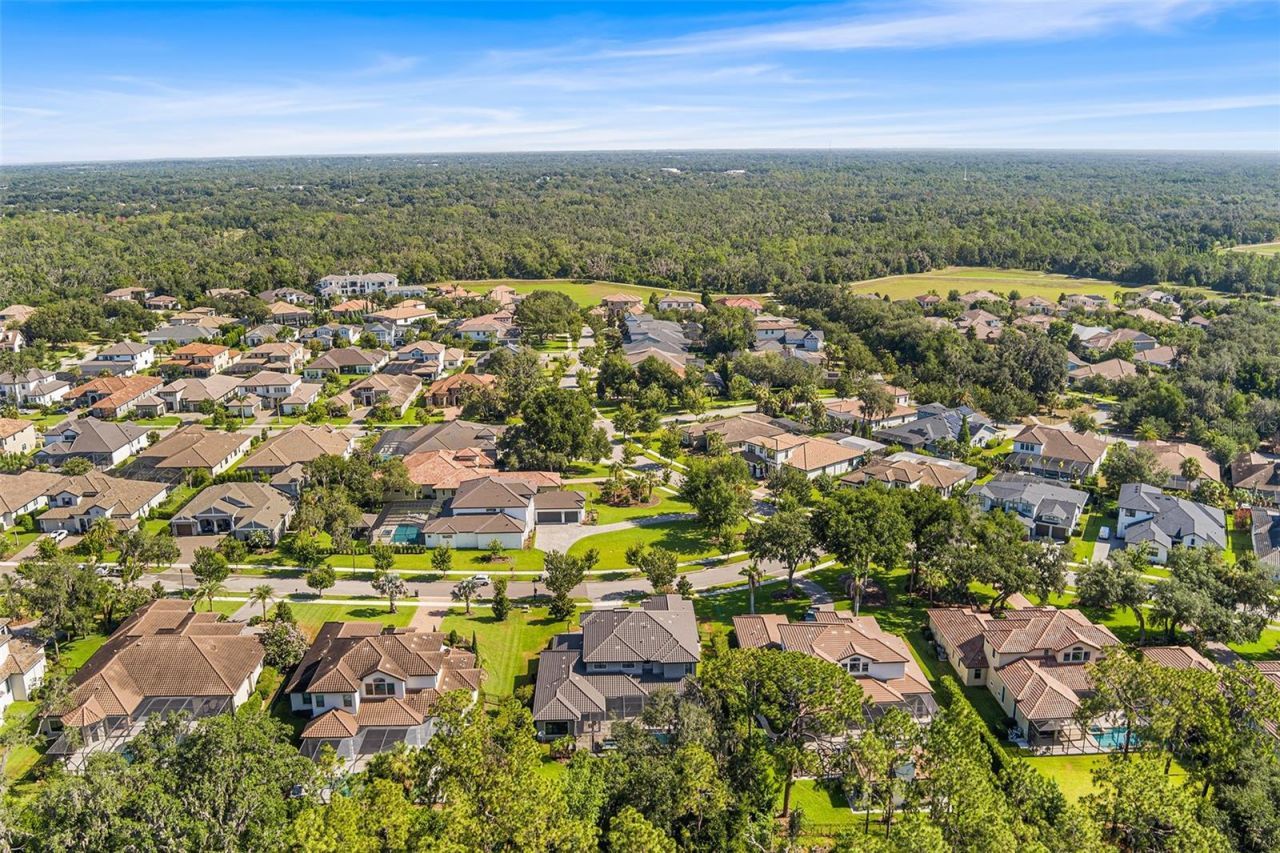 14704 Fishhawk Preserve Drive, Lithia, FL 33547 Photo