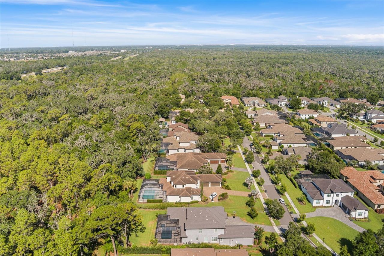 14704 Fishhawk Preserve Drive, Lithia, FL 33547 Photo