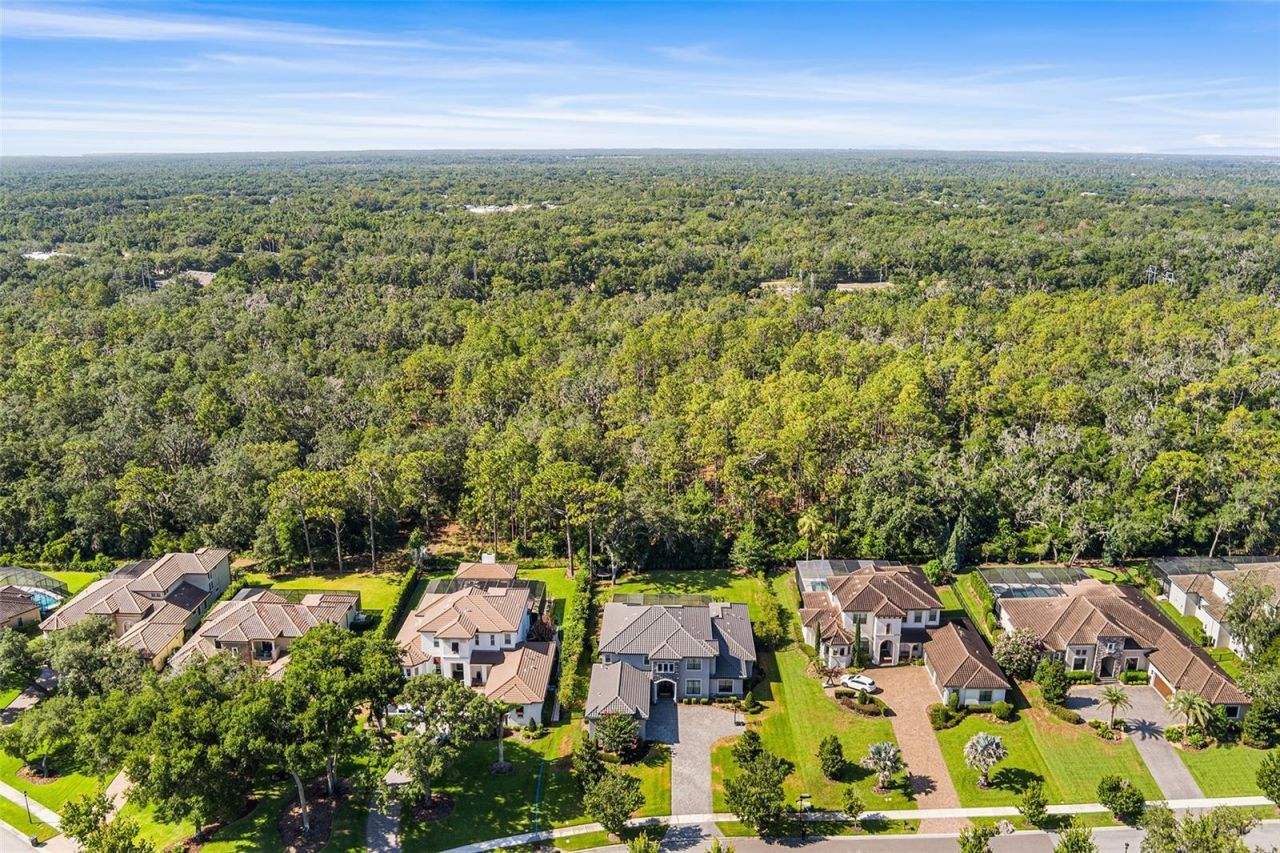 14704 Fishhawk Preserve Drive, Lithia, FL 33547 Photo