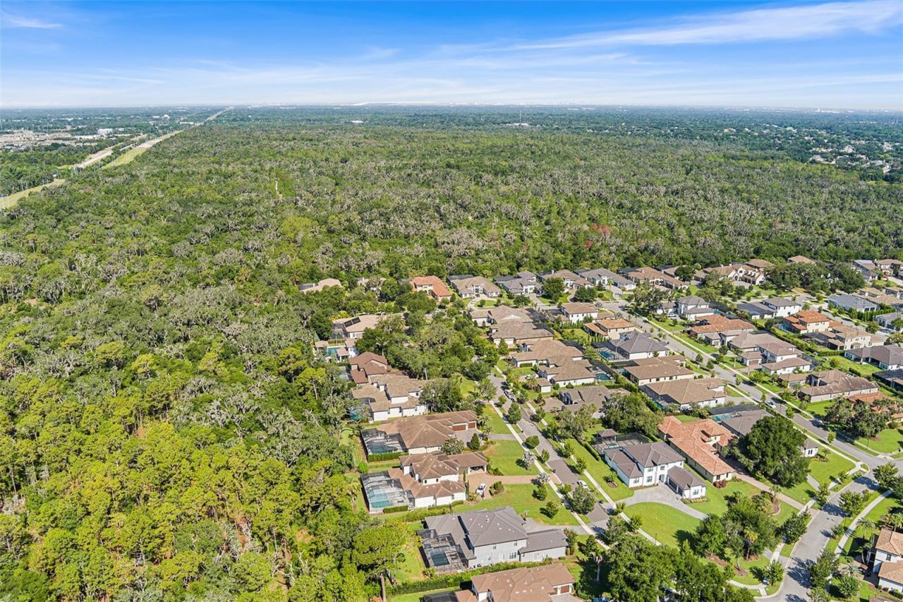 14704 Fishhawk Preserve Drive, Lithia, FL 33547 Photo