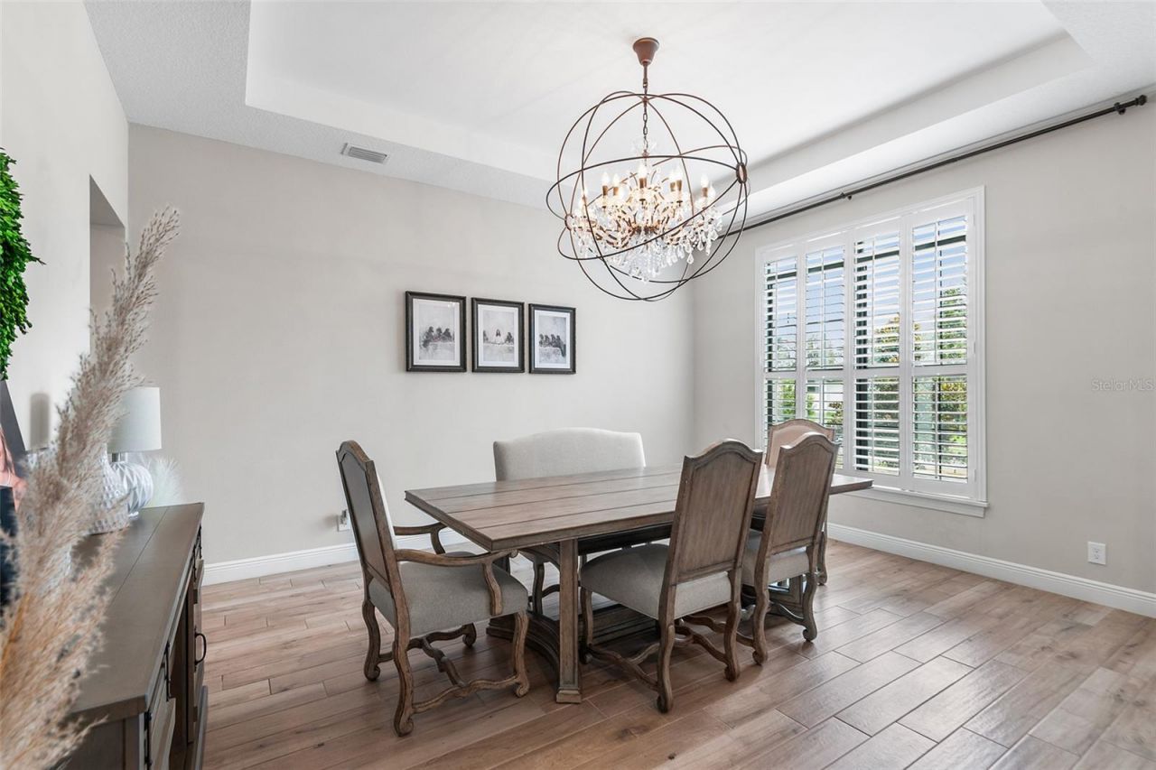 14704 Fishhawk Preserve Drive, Lithia, FL 33547 Photo