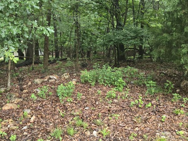 TBD Wildwood Circle , Afton, OK 74331