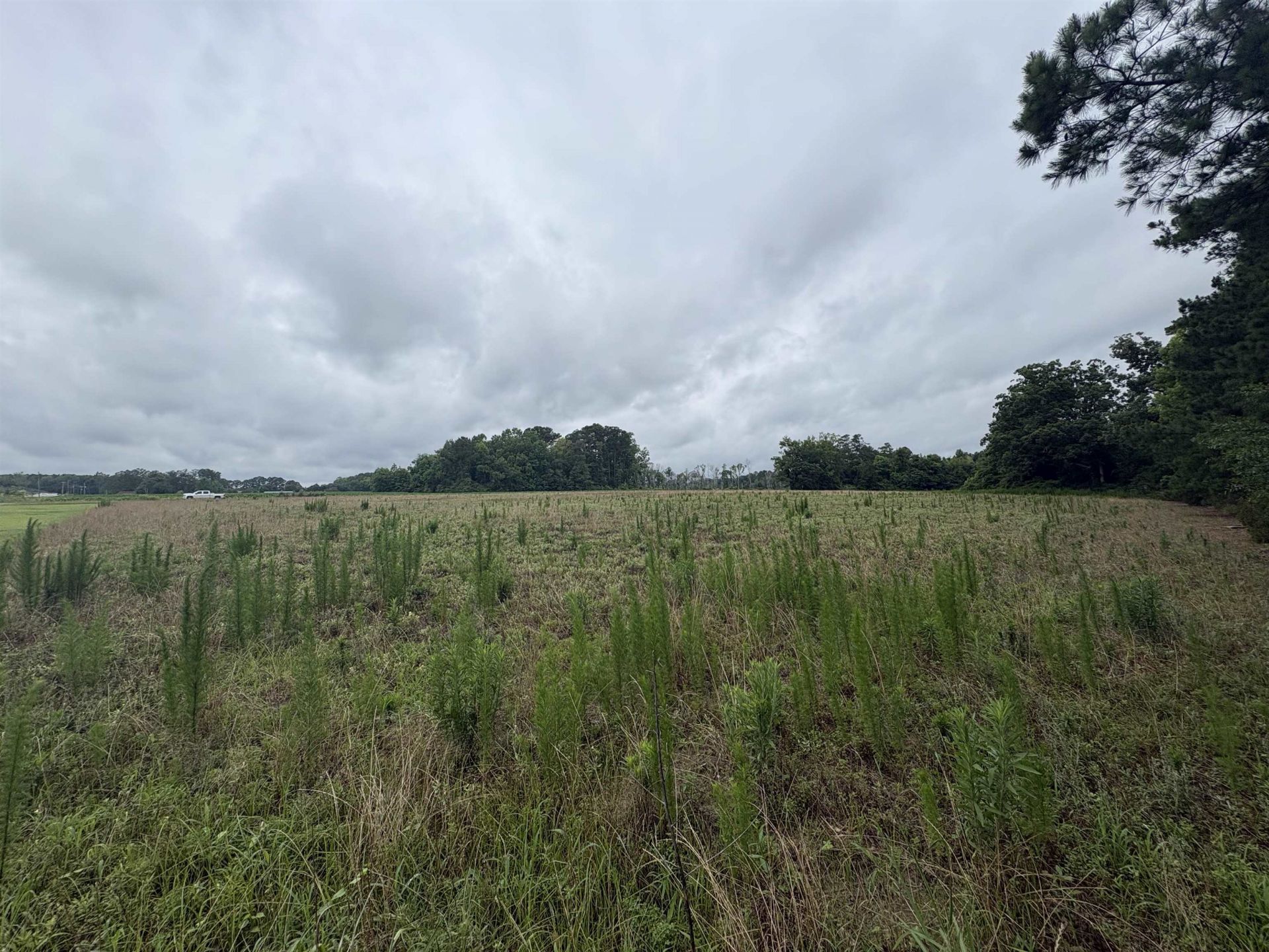 Tbd Coney Dr.  Photo 6