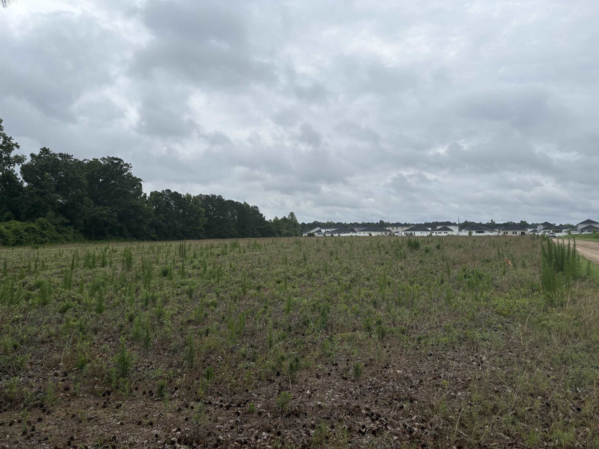 Tbd Coney Dr.  Photo 7