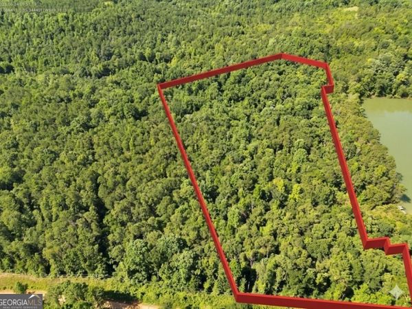 0 Indian Lake Road, Unit LOTS 98-10, Clayton, AL 36016